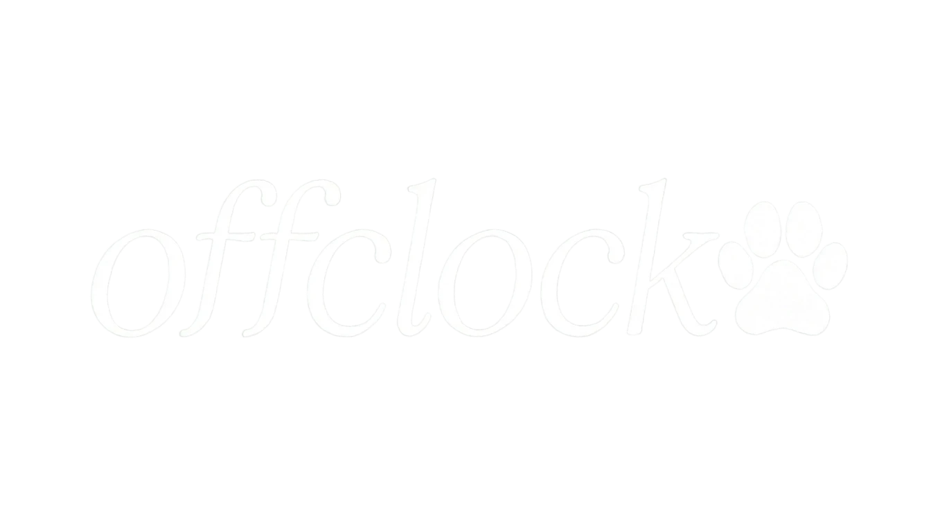 Offclock Store
